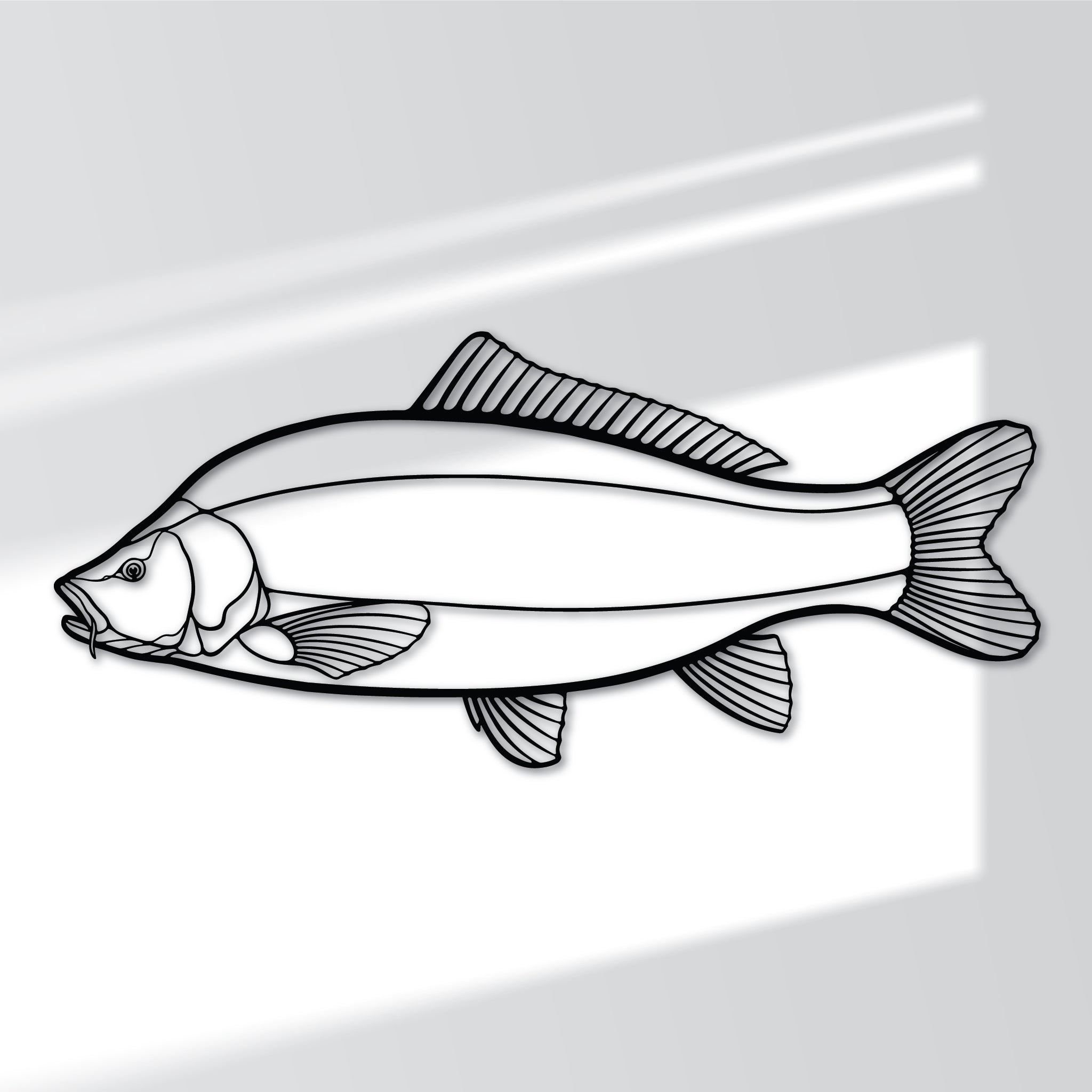 Common Carp - Metal Wall Art