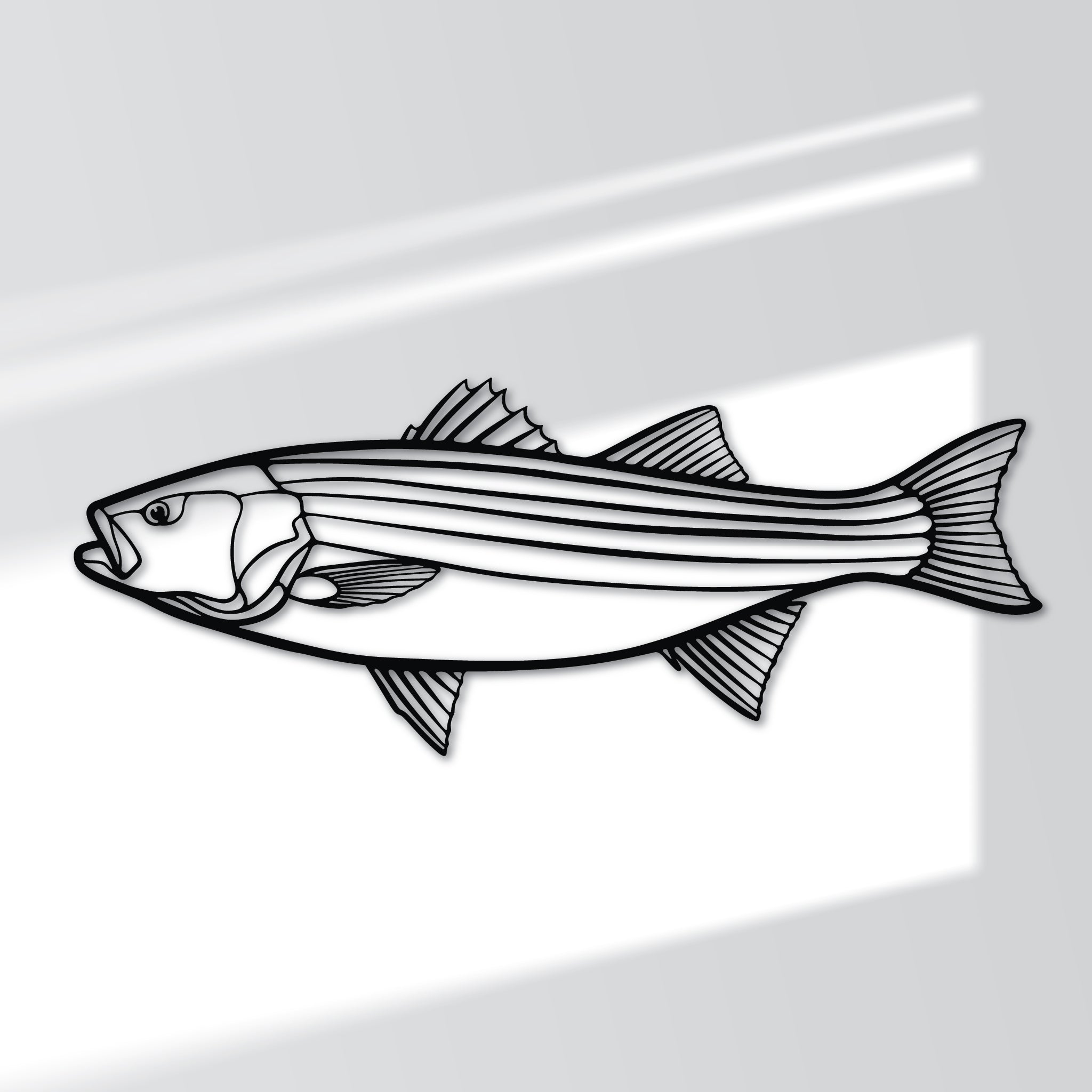 Striped Bass Fish - Metal Wall Art