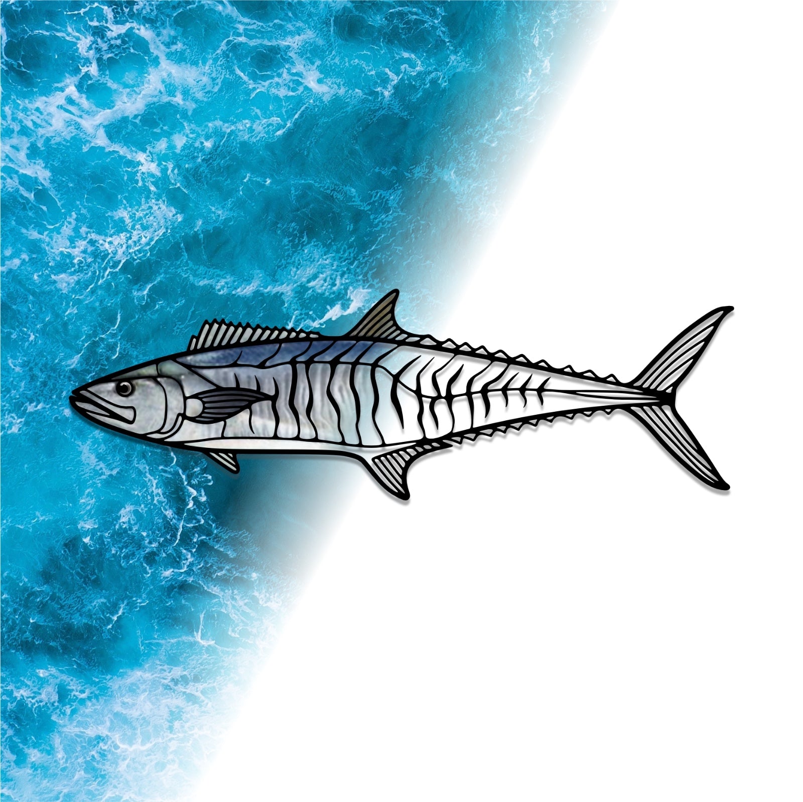 Spanish Mackerel Fish - Metal Wall Art